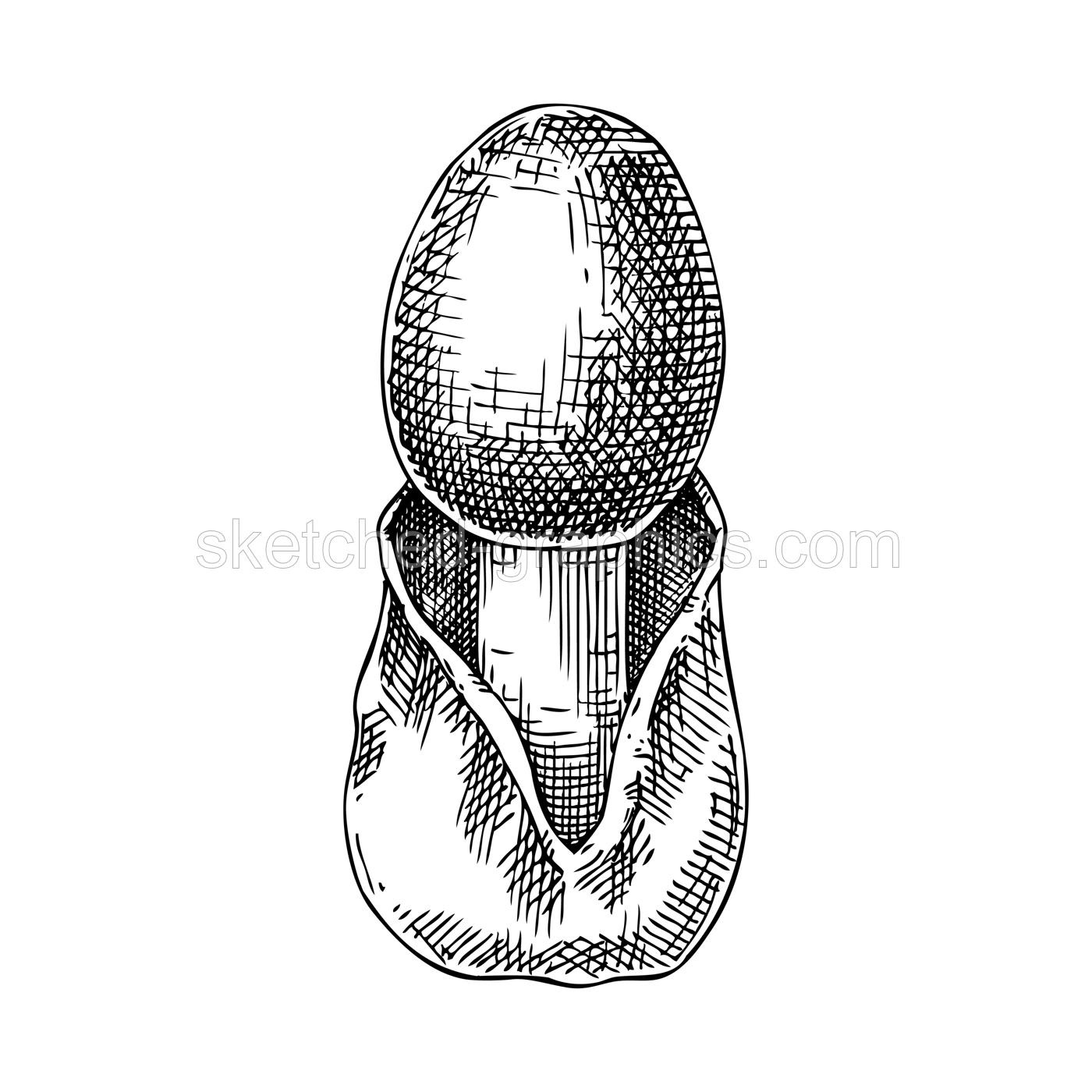 Caesar's mushroom sketch. Edible fungus illustration. Hand drawn forest plant. Eatable mushroom drawing isolated on white background. Healthy food design element Illustration